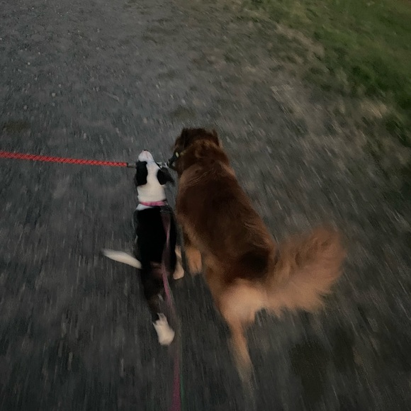 💗💖🌸IM LIVE‼️❤️💃
  Like to be notified plz :) - Picture 5 of 11